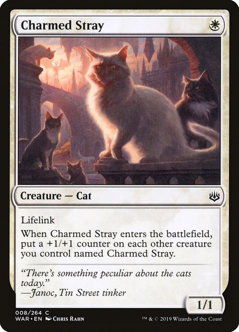 8-charmedstray.jpg