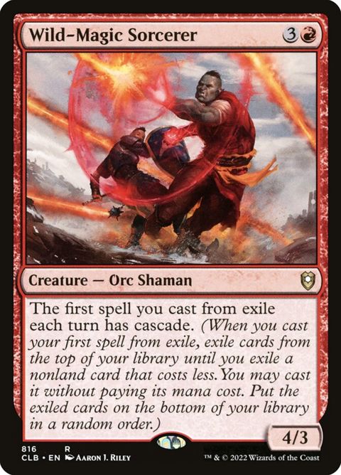 816-wildmagicsorcerer.jpg