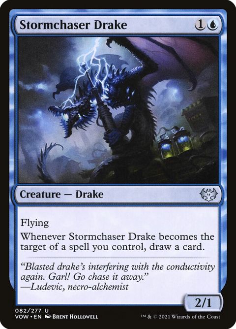 82-stormchaserdrake.jpg