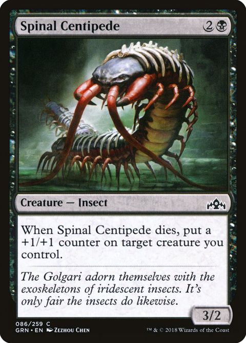86-spinalcentipede.jpg