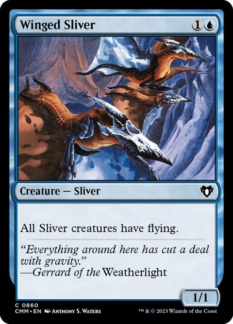 860-wingedsliver.jpg