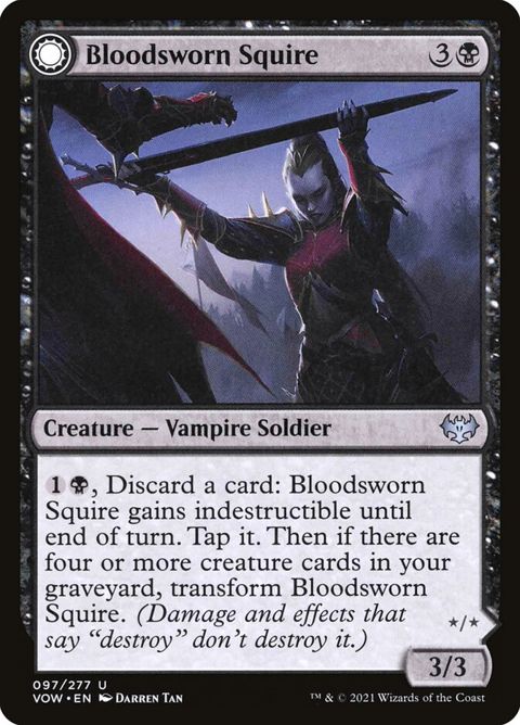 97-bloodswornsquirebloodswornknight-a.jpg