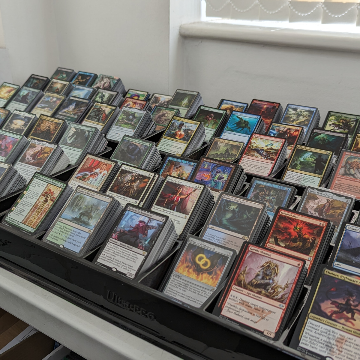 Building a TCG Collection from Scratch