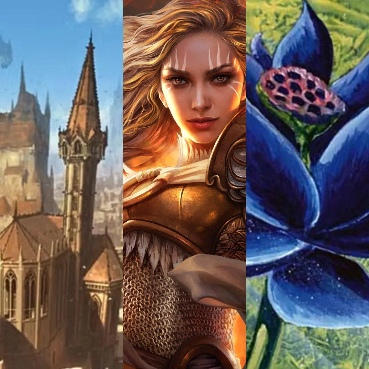 Magic: The Gathering: Most Popular Collections