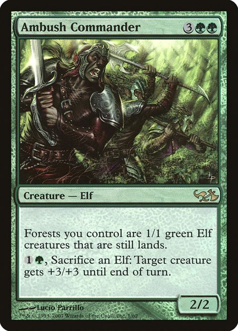1-ambushcommander.jpg