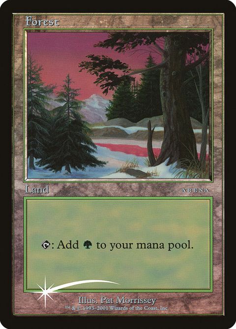 1-forest.jpg