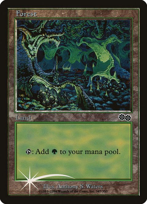 1-forest.jpg