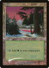 1-forest.jpg