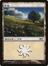 1-plains.jpg