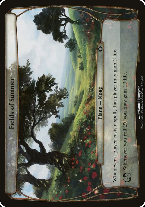 10-fieldsofsummer.jpg