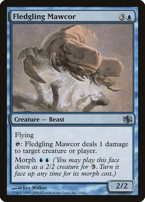 10-fledglingmawcor.jpg