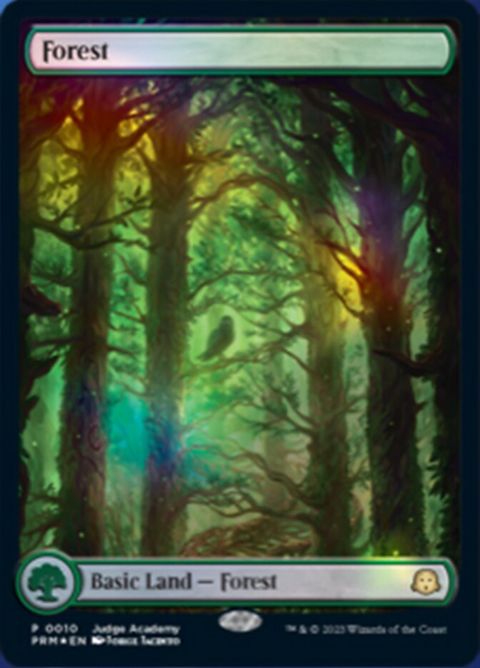 10-forest.jpg