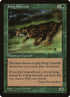 10-kingcheetah.jpg