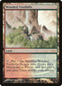 10-woodedfoothills.jpg
