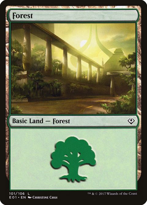101-forest.jpg