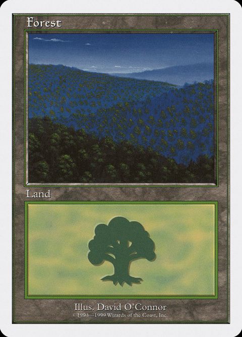 102-forest.jpg