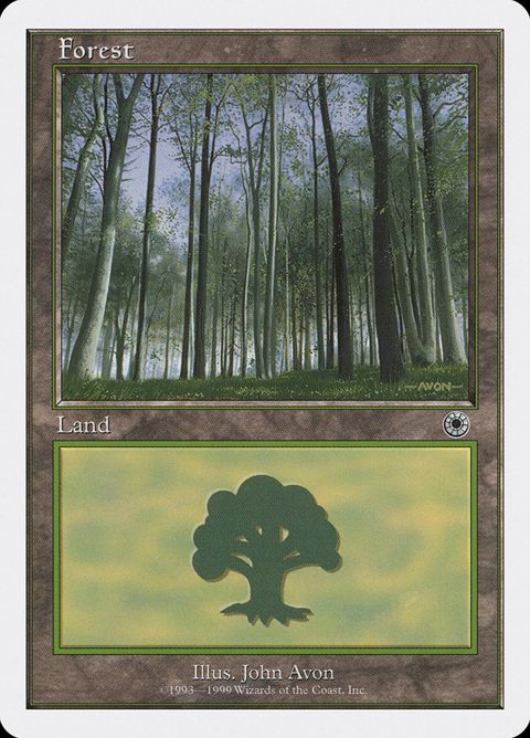 104-forest.jpg
