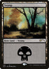 104-swamp