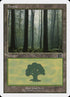 106-forest.jpg
