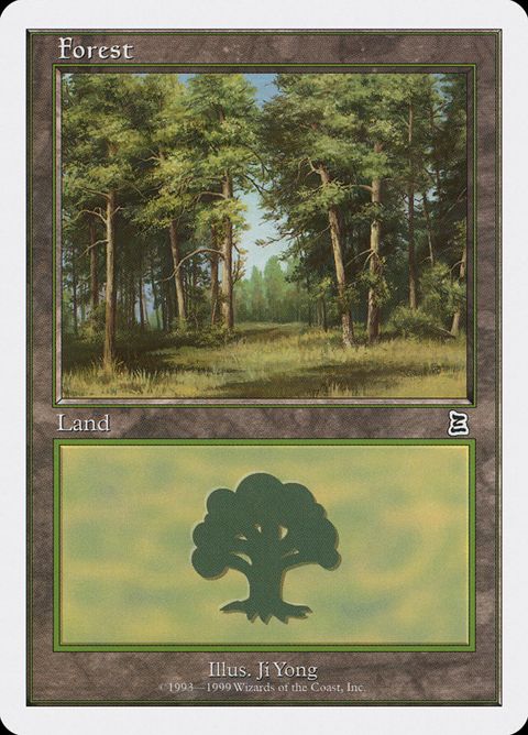 107-forest.jpg