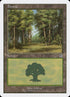 107-forest.jpg