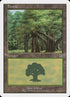 108-forest.jpg