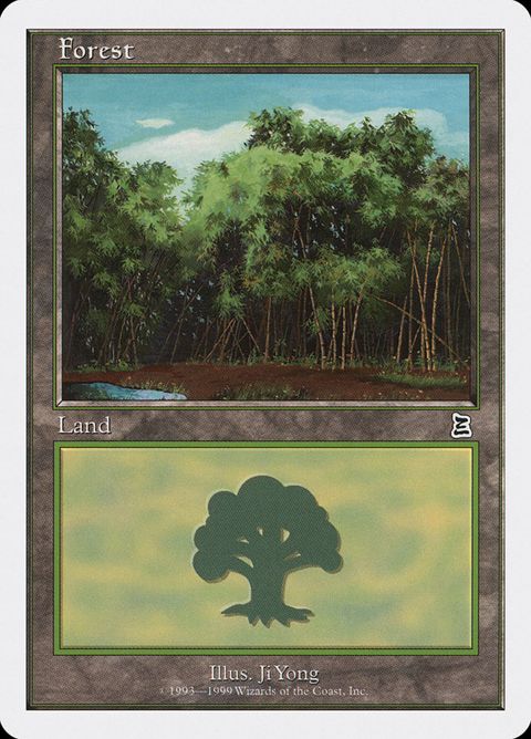 109-forest.jpg