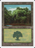 109-forest.jpg
