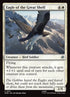 11-eagleofthegreatshelf