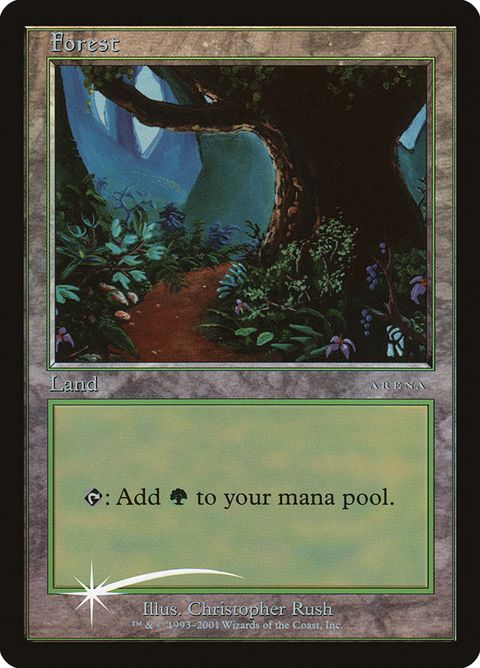 11-forest.jpg