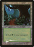 11-forest.jpg