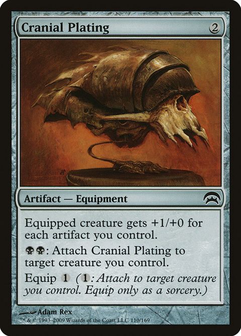 110-cranialplating.jpg