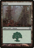 110-forest.jpg