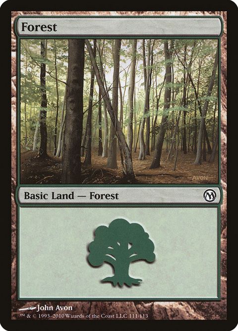 111-forest.jpg
