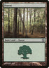 111-forest.jpg