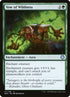 111-vowofwildness.jpg