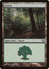 112-forest.jpg