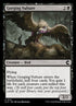 112-gorgingvulture.jpg