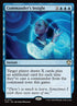 113-commandersinsight