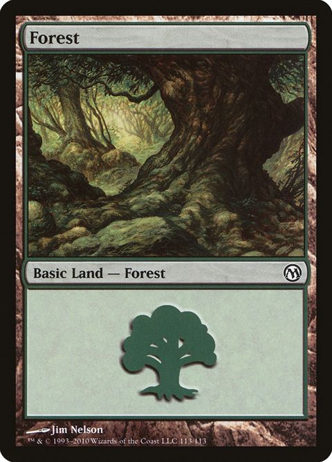 113-forest.jpg
