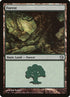 113-forest.jpg