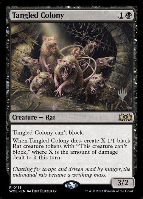 113p-tangledcolony.jpg