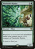 114-vinelasherkudzu.jpg