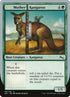 116-motherkangaroo.jpg