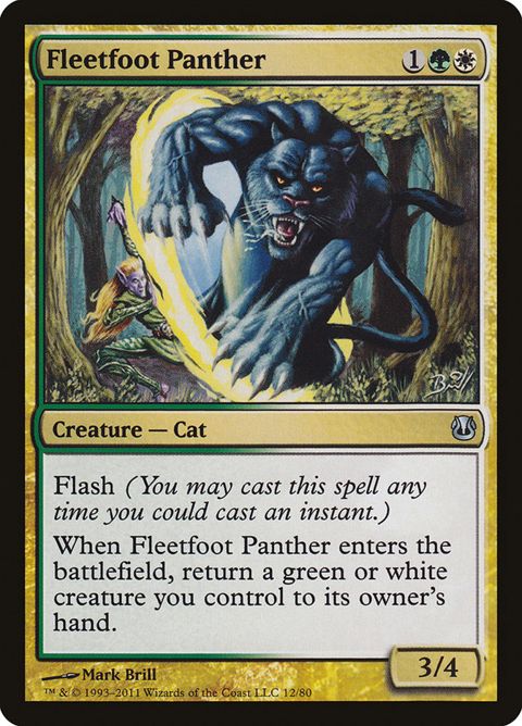 12-fleetfootpanther.jpg