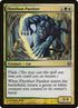 12-fleetfootpanther.jpg