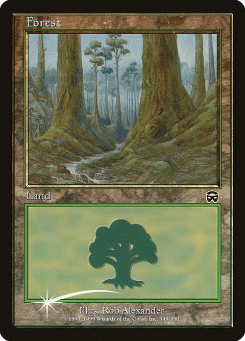 12-forest.jpg