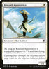 12-kitesailapprentice.jpg