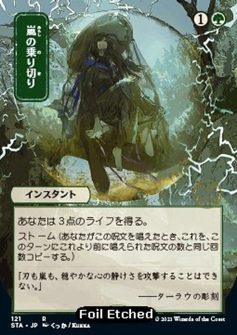 121e-weatherthestorm