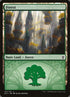 127-forest.jpg